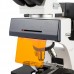 Microscopio de epiflurescencia. Modelo VE-146YT